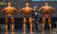 IFBB Чемпионат мира по бодибилдингу - 2019