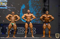 IFBB Чемпионат мира по бодибилдингу - 2019