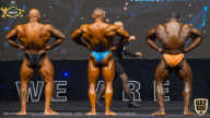 IFBB Чемпионат мира по бодибилдингу - 2019