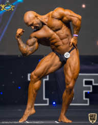 IFBB Чемпионат мира по бодибилдингу - 2019