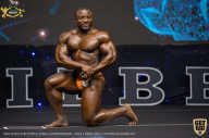 IFBB Чемпионат мира по бодибилдингу - 2019
