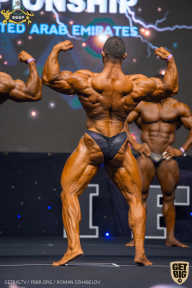 IFBB Чемпионат мира по бодибилдингу - 2019