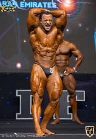 IFBB Чемпионат мира по бодибилдингу - 2019