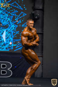 IFBB Чемпионат мира по бодибилдингу - 2019