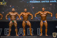IFBB Чемпионат мира по бодибилдингу - 2019
