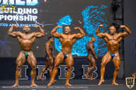 IFBB Чемпионат мира по бодибилдингу - 2019