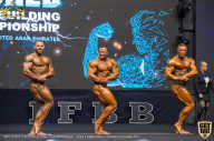 IFBB Чемпионат мира по бодибилдингу - 2019