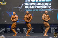 IFBB Чемпионат мира по бодибилдингу - 2019