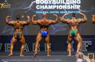 IFBB Чемпионат мира по бодибилдингу - 2019