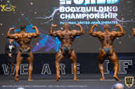 IFBB Чемпионат мира по бодибилдингу - 2019