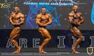 IFBB Чемпионат мира по бодибилдингу - 2019