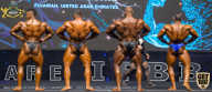IFBB Чемпионат мира по бодибилдингу - 2019