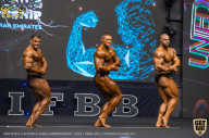 IFBB Чемпионат мира по бодибилдингу - 2019