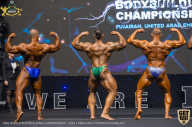 IFBB Чемпионат мира по бодибилдингу - 2019