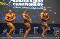 IFBB Чемпионат мира по бодибилдингу - 2019