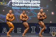 IFBB Чемпионат мира по бодибилдингу - 2019