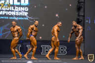 IFBB Чемпионат мира по бодибилдингу - 2019