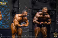 IFBB Чемпионат мира по бодибилдингу - 2019