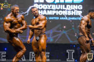IFBB Чемпионат мира по бодибилдингу - 2019