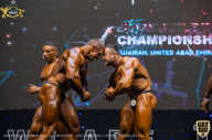 IFBB Чемпионат мира по бодибилдингу - 2019
