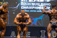 IFBB Чемпионат мира по бодибилдингу - 2019