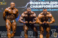 IFBB Чемпионат мира по бодибилдингу - 2019