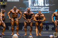 IFBB Чемпионат мира по бодибилдингу - 2019