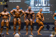 IFBB Чемпионат мира по бодибилдингу - 2019