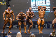 IFBB Чемпионат мира по бодибилдингу - 2019