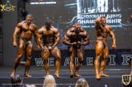 IFBB Чемпионат мира по бодибилдингу - 2019