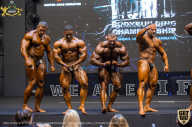 IFBB Чемпионат мира по бодибилдингу - 2019