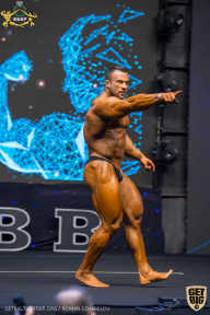 IFBB Чемпионат мира по бодибилдингу - 2019