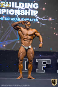 IFBB Чемпионат мира по бодибилдингу - 2019