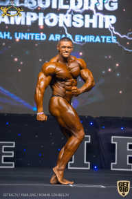 IFBB Чемпионат мира по бодибилдингу - 2019
