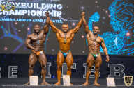 IFBB Чемпионат мира по бодибилдингу - 2019