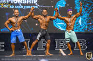 IFBB Чемпионат мира по бодибилдингу - 2019