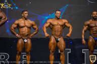IFBB Чемпионат мира по бодибилдингу - 2019
