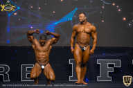 IFBB Чемпионат мира по бодибилдингу - 2019