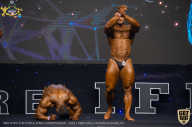 IFBB Чемпионат мира по бодибилдингу - 2019