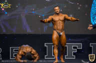 IFBB Чемпионат мира по бодибилдингу - 2019