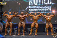 IFBB Чемпионат мира по бодибилдингу - 2019