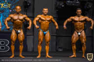 IFBB Чемпионат мира по бодибилдингу - 2019
