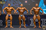 IFBB Чемпионат мира по бодибилдингу - 2019