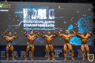IFBB Чемпионат мира по бодибилдингу - 2019