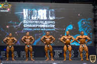 IFBB Чемпионат мира по бодибилдингу - 2019