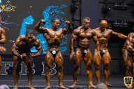 IFBB Чемпионат мира по бодибилдингу - 2019