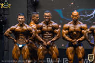 IFBB Чемпионат мира по бодибилдингу - 2019
