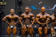 IFBB Чемпионат мира по бодибилдингу - 2019