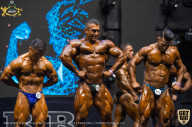 IFBB Чемпионат мира по бодибилдингу - 2019