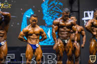 IFBB Чемпионат мира по бодибилдингу - 2019